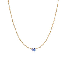 Load image into Gallery viewer, Small Two-Gemstones Necklace