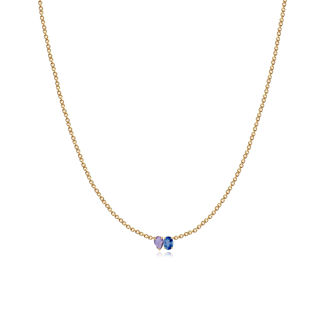 Small Two-Gemstones Necklace