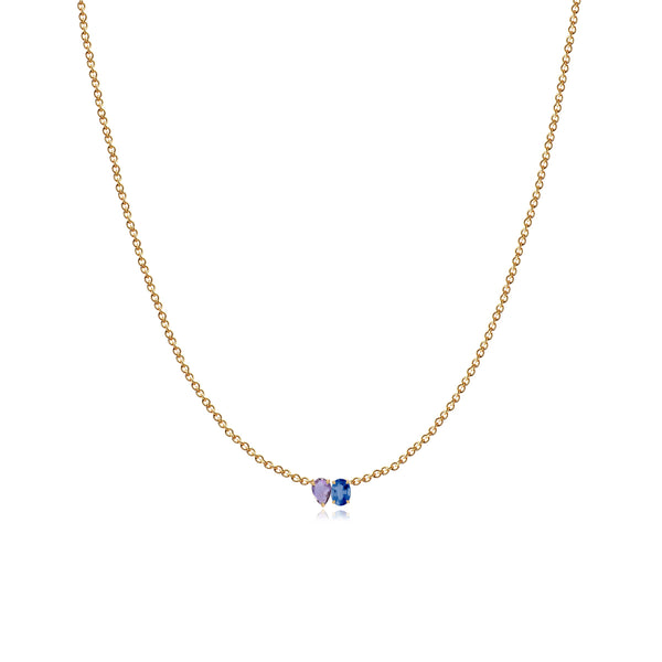 Small Two-Gemstones Necklace