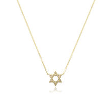 Load image into Gallery viewer, Small Star of David Pave Necklace

