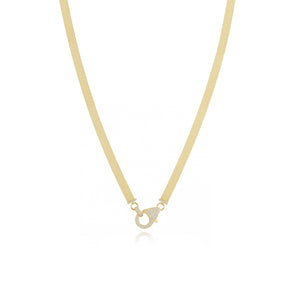 Gold Mesh Chain Diamond Clasp Necklace