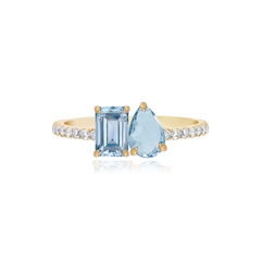 Small Two-Gemstones Ring