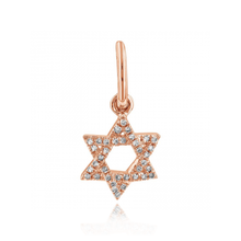 Load image into Gallery viewer, Star of David Pave Diamond Charm
