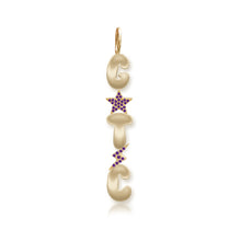 Load image into Gallery viewer, Gold Initials &amp; Pave Charms
