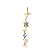 Load image into Gallery viewer, Gold Initials &amp; Pave Charms
